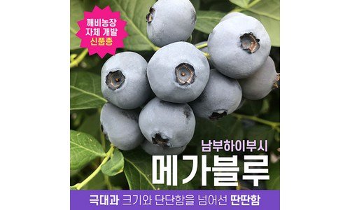 깨비농장