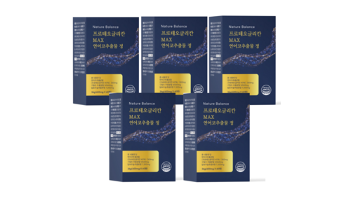 프로테오글리칸 알찬정보 뿜뿜뿜 구매가이드