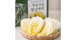 김장김치! 절임배추20kg 고민없이 여기서 비교해 보세요! 해남, 도미솔, 진경, 예소담 등 절임배추 추천 베스트7