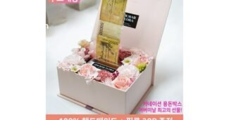 용돈박스 나만 알고 싶은 비교 분석 베스트