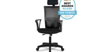 사무실의자 소문의 바로 그 상품! 내돈내산 한방에 비교하기