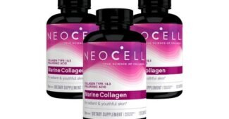 콜라겐 찬스!찬스! 내돈내산 고르는법