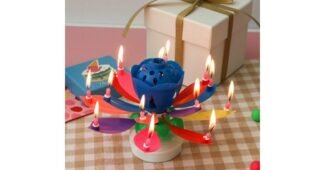 생일초 알찬정보 보물같은 상품 스마트한 선택