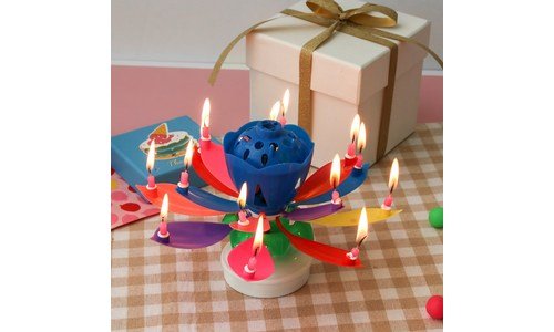 생일초 알찬정보 보물같은 상품 스마트한 선택