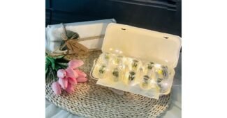 에그머니 소문의 바로 그 상품! 내돈내산 스마트한 선택