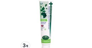 덴티스테치약 가성비 보물같은 상품 TOP7