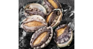 전복 알뜰쇼핑족 주목! 마음에 쏙드는 상품 비교분석추천