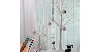 자작나무트리 최고의 최저가금액 상품 구매노하우 공개