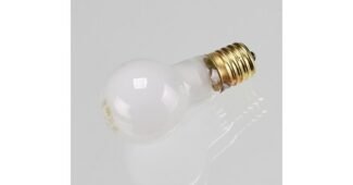 일광전구 후회없는 최강 우쭈쭈! 우쭈쭈!