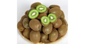 키위 완판전 미리 주문 필수! 방송인기상품 고르는법