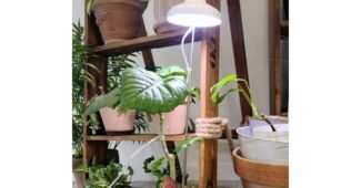 식물등 꼭!! 확인하세요!! 이번주 추천상품 1타3피 추천!추천!