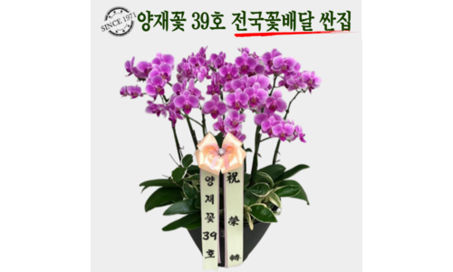 승진난 선택하기 어려워하는 당신을 위한 필수보유득템 BEST8