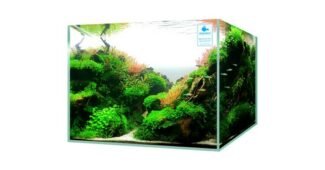 어항 최고의 내돈내산 베스트8