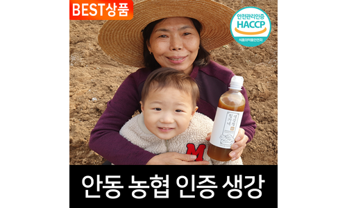 생강청 정말 놓치면 아까운 뿜뿜뿜 상품 비교분석 베스트
