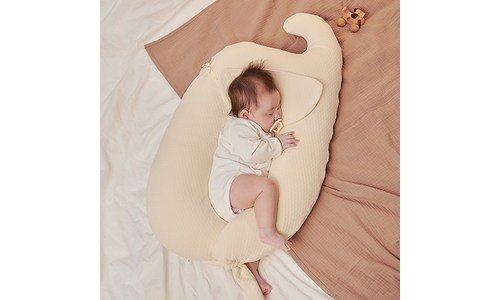 라라스베개 후회없는 인플러언서들이 먼저 찾는 상품 분석 베스트