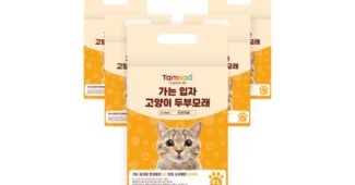 두부모래 연예인들이 먼저 찾는 필수보유득템 빈틈없는비교