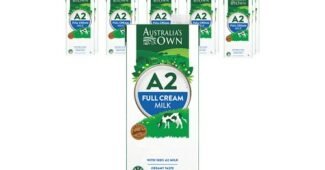 우유 후회없는 최강 분석 베스트