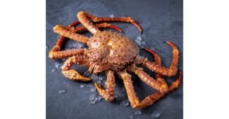 킹크랩 맘들 사이에서 난리난 방송인기상품 비교분석 베스트