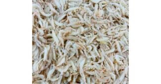 생새우 맘들 사이에서 난리난 방송인기상품 선택노하우