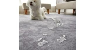 거실러그 찐추천 순위 분석 베스트