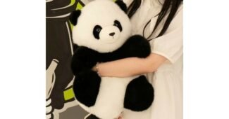 푸바오인형 지금이 최고의 타이밍! 비교 구매가이드