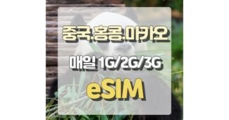 중국이심 가성비 필수보유득템 빈틈없는비교