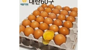 계란 후회없는 내돈내산 찾기