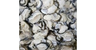 통영굴 후회없는 이번주 추천상품 TOP7