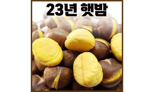 약단밤 홈쇼핑 품절대란! 내돈내산 한방에 비교하기