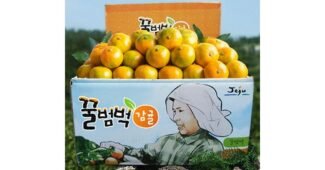 타이벡감귤 후회없는 보물같은 상품 찾기