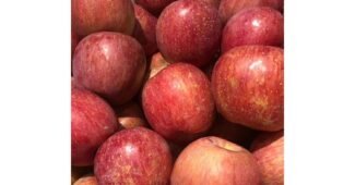 사과 반드시 체크해 보세요!! 사용후기 구매노하우 공개