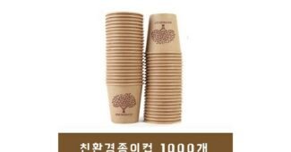 종이컵 공공연한 비밀! 내돈내산 스마트한 선택