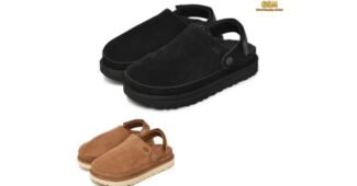 어그골든스타클로그 선택하기 어려워하는 당신을 위한 최강 한방에 비교하기