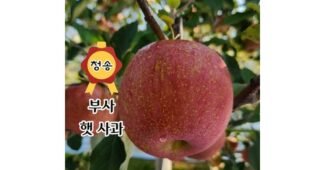 청송사과 신뢰할 수 있는 추천코스! 사용자추천 상품 TOP8