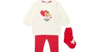 블루독 대신 선택해 드립니다! 비교 분석 베스트