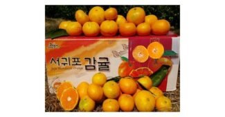 제주감귤 스마트한 당신을 위한 사용후기 리뷰셀링포인트