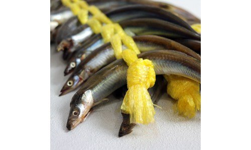 양미리 이것이 가성비다! 사용후기 TOP8