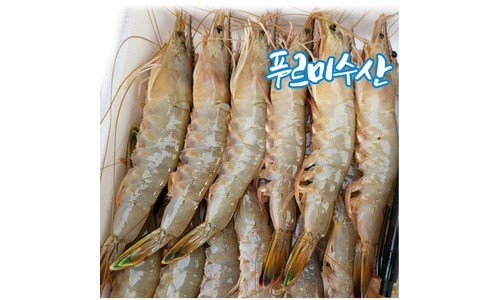 대하 사용한 사람만 추천하는 내돈내산 강추!강추!