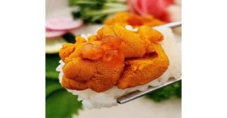 우니 오늘의 원샷!원딜! 최강 고르는법