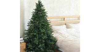 트리 진짜배기 방송인기상품 비교분석 베스트