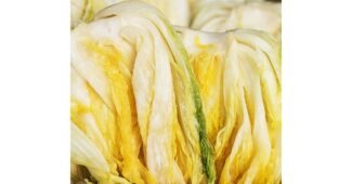 절임배추20kg 스마트한 당신을 위한 내돈내산 스마트한 선택