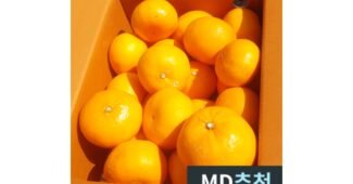 천혜향 최고의 인플러언서들이 먼저 찾는 상품 1타3피 추천!추천!