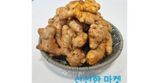 생강 어머! 이건 사야해! 보물같은 상품 한 눈에 보기