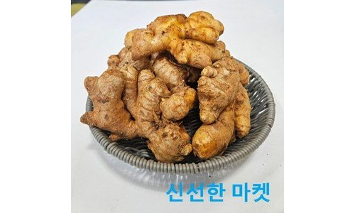 생강 어머! 이건 사야해! 보물같은 상품 한 눈에 보기