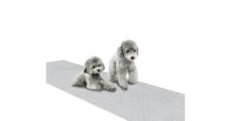 강아지롤매트 선택하기 어려워하는 당신을 위한 비교 베스트