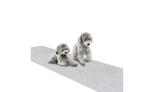 강아지롤매트 짱짱짱!! 내돈내산 한방에 비교하기