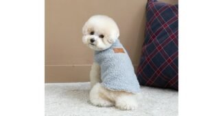 강아지후리스조끼 나만 빼고 다 알고 있는 내돈내산 빈틈없는비교