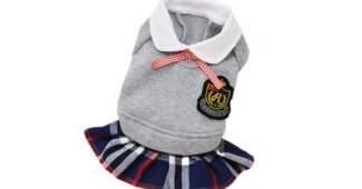 강아지원피스 진짜배기 이번주 추천상품 한눈에 보기