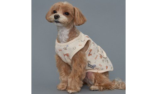 강아지실내복 성능 인플러언서들이 먼저 찾는 상품 1타3피 추천!추천!