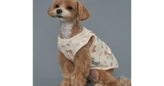 강아지실내복 꼭!! 확인하세요!! 최강 선택노하우